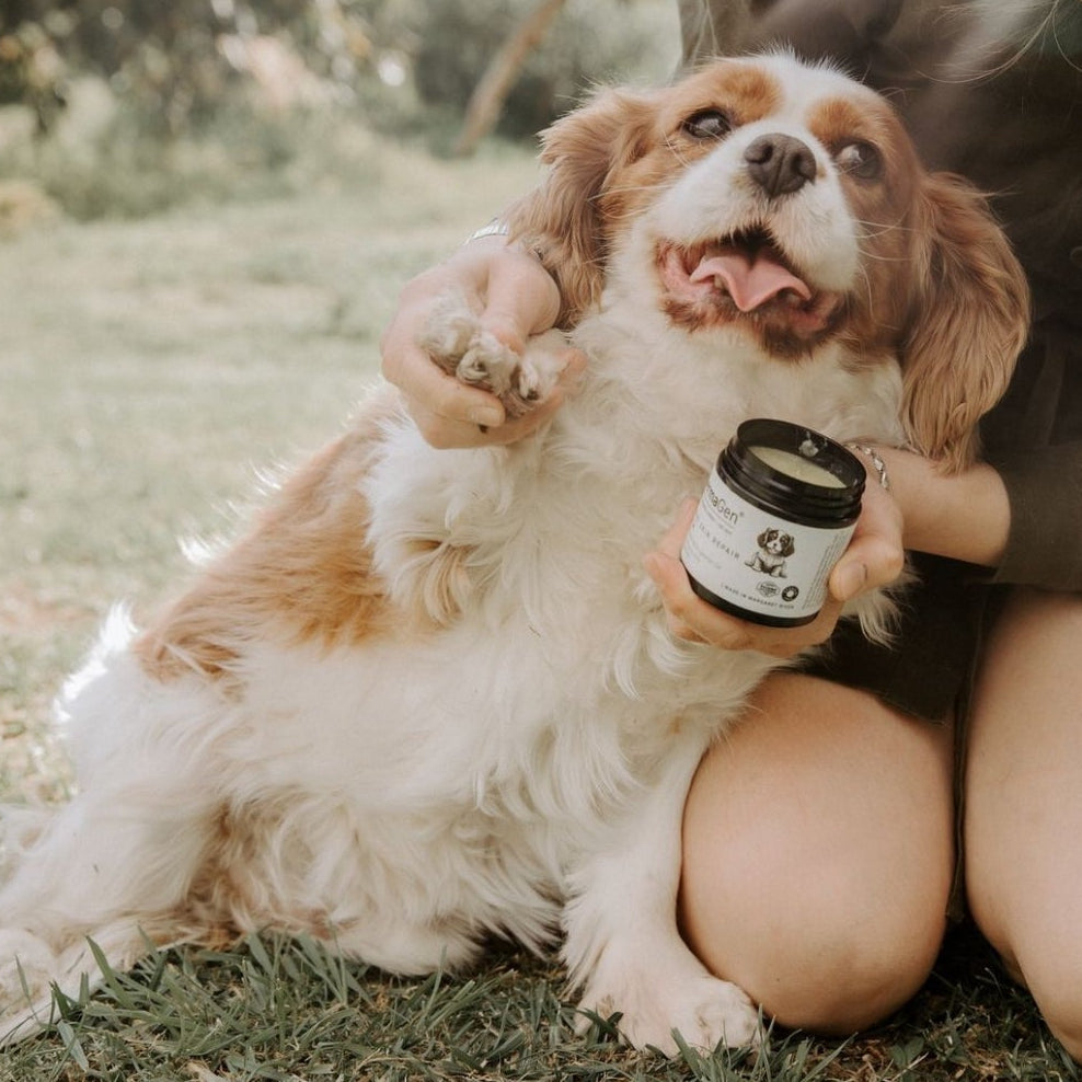 Doggy Repair Balm